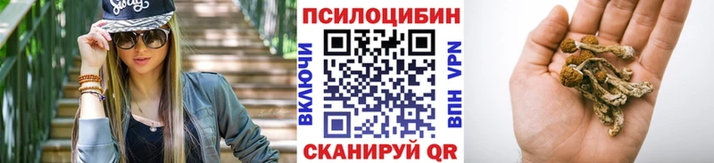 Псилоцибиновые грибы Cubensis  omg вход  Суджа 